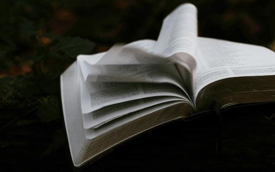 A photo illustration shows the pages of a Bible flipping against a dark, obscured background. (Unsplash/Priscilla Du Preez)