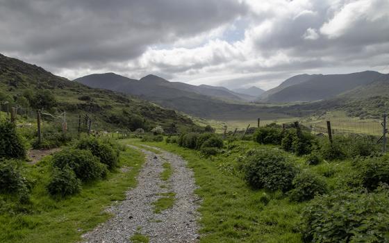 A gravel road travels into Killarney National Park in Ireland. One of the sister panelists for The Life has resolved to relearn the Irish language in 2026, after many years living as a missionary outside of her native land. (Teresa Malcolm)
