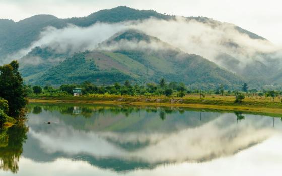 mountains and forest 