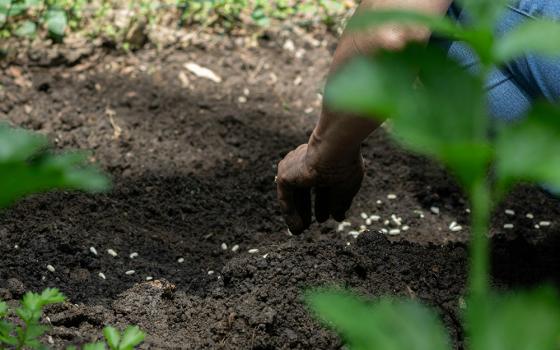 A Black person sows seeds in a field (Unsplash/Alek Newton)