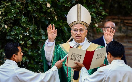 Pope Leo XIV leads the Mass for the Care of Creation, in Castel Gandolfo, Italy, July 9, 2025. (Pool Via AP/Yara Nardi)