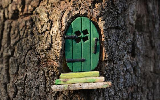 Small green wooden fairy door set in a tree trunk (Dreamstime/Amani A)