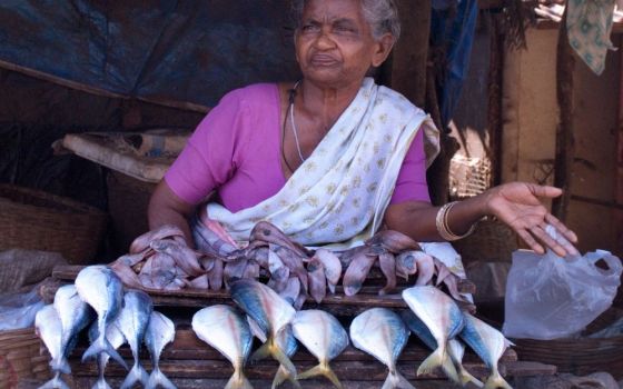 Female fish vendors in India face numerous challenges as they work to support themselves and their families. (Wikimedia/Creative Commons/CC BY-SA 3.0/Jorge Royan)