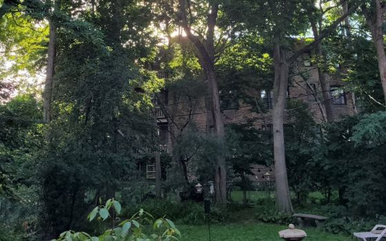The author meditates in this backyard of her Chicago home. (Julia Walsh)