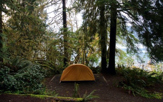 Camping site on the shores of Lake Quinault, Olympic National Park. (Wikimedia Commons/Adbar/CC BY-SA 3.0, https://creativecommons.org/licenses/by-sa/3.0)
