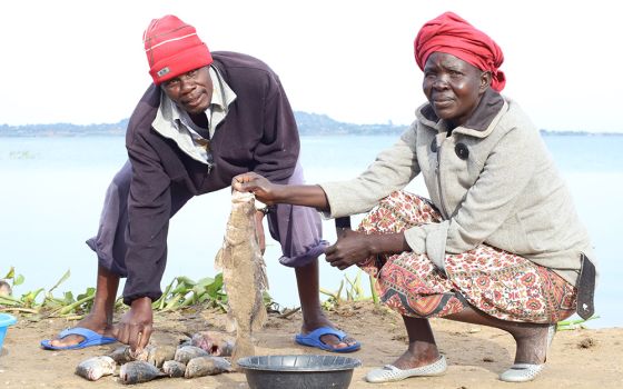 Alice Wandago, 46, inspects fish caught by a fisherman by Lake Victoria in Migori on Nov. 5, 2021. (GSR photo/Doreen Ajiambo)