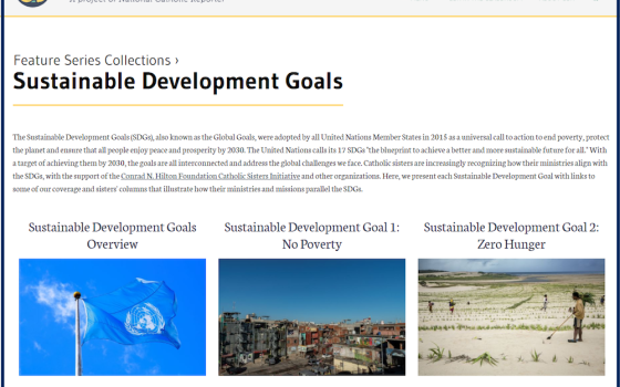  Global Sisters Report's new collection on the U.N. Sustainable Development Goals contains about 200 articles and columns. More will be added to the collection as new articles and columns are published. (GSR screenshot)