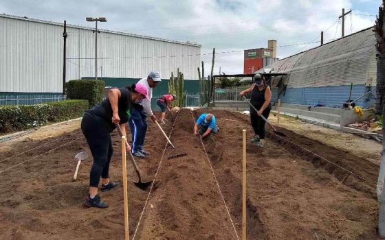 Volunteers prep the community garden, part of the new Community Resource Center at Our Lady of Guadalupe Parish in San Diego. (Courtesy of the Sisters of Mercy of the Americas)