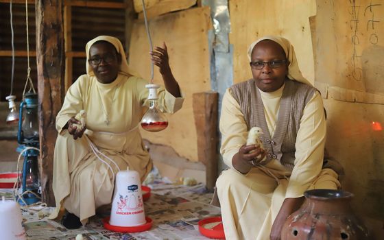 Srs. Florence Anaso (left) and Mary Atema of the Little Sisters of St. Francis of Assisi tend to baby chicks in Jinja, Uganda.