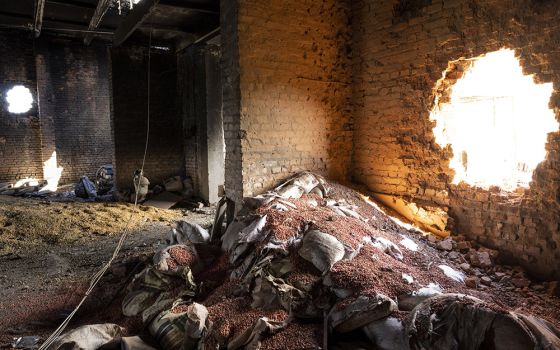 Scattered grain sits inside a warehouse damaged by Russian attacks in Cherkaska Lozova, outskirts of Kharkiv, eastern Ukraine, May 28. (AP photo/Bernat Armangue, File)
