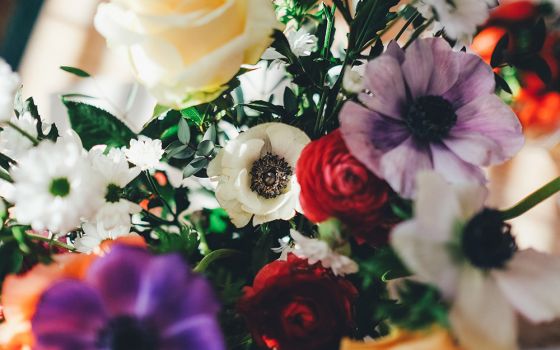 Flowers (Unsplash/Annie Spratt)