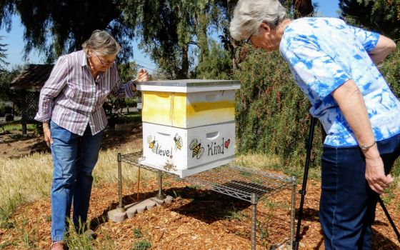 Dominican Srs. Barbara Hagel, left, and Jeanette DeYoung examine a beehive on their motherhouse property in Fremont, California. (Melanie Lidman)