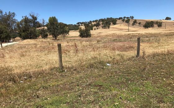 A dry flat area in Western Australia (Frances Hayes)