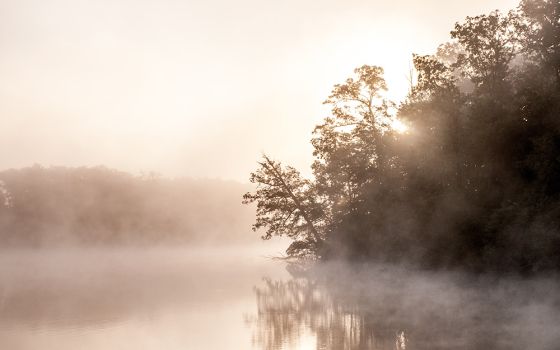 Mist on a lake (Unsplash/Todd Aarnes)