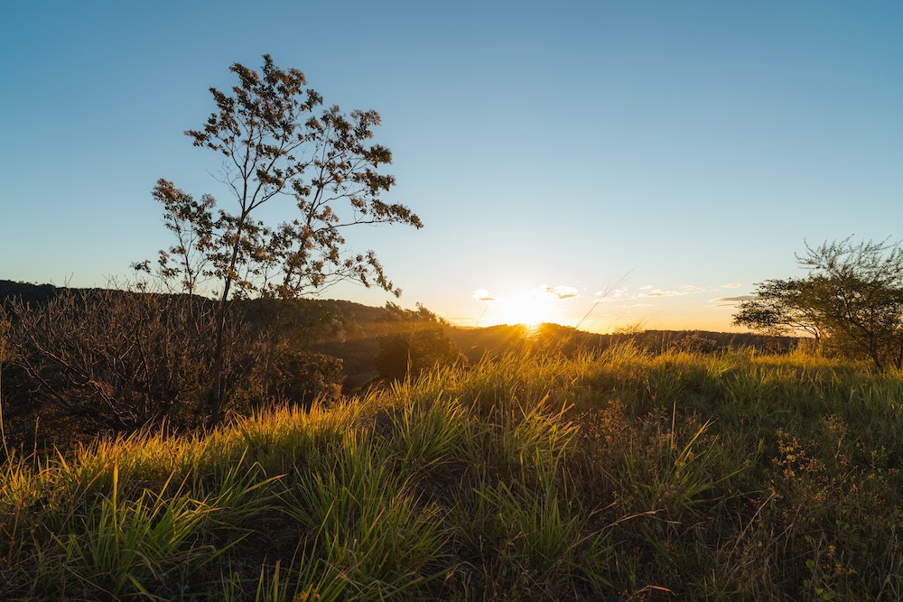 Sun coming up over a field