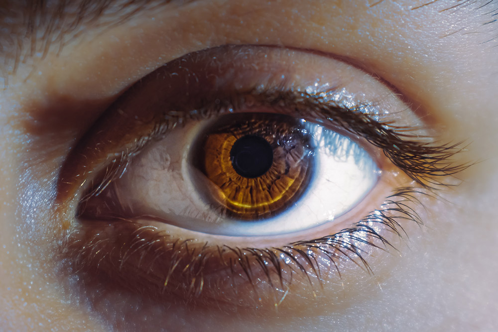 Eye (Unsplash/Takwa Abdo)