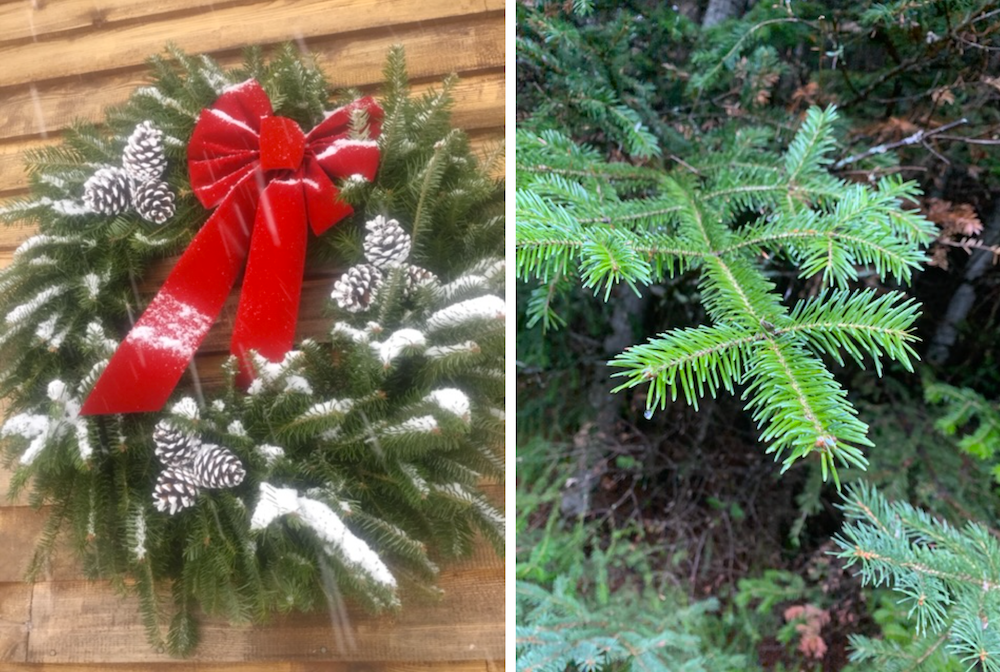 Balsam wreaths (Gail Worcelo) Balsam wreaths (Gail Worcelo)