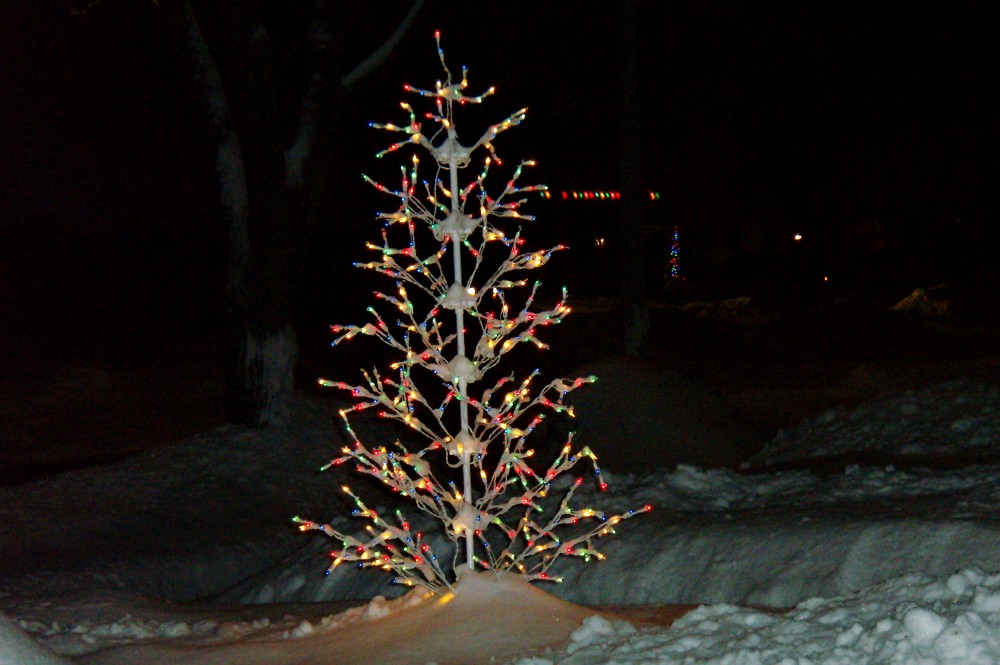 I had a wire-and-light tree for the front yard, so up from the basement it came and into the yard it went. (Jane Marie Bradish) I had a wire-and-light tree for the front yard, so up from the basement it came and into the yard it went. (Jane Marie Bradish)